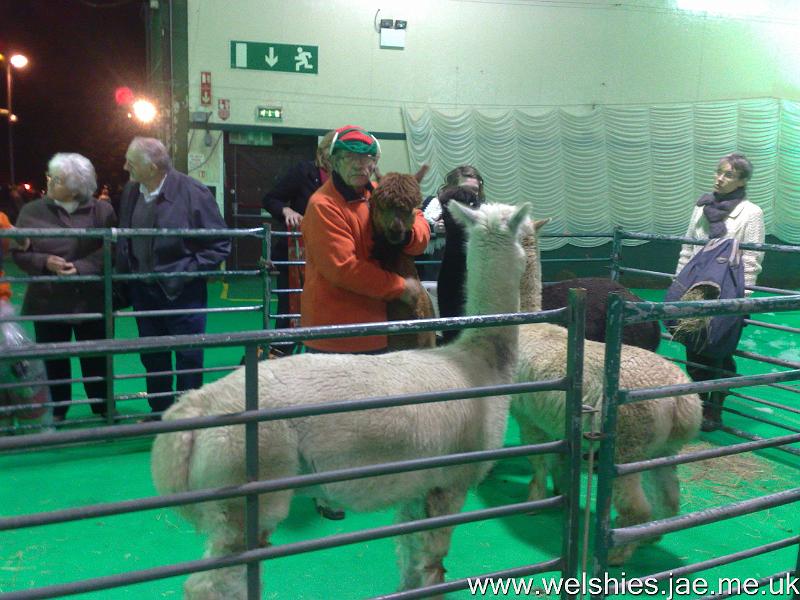 2010-12-09 01.jpg - Wood Green Carol Concert